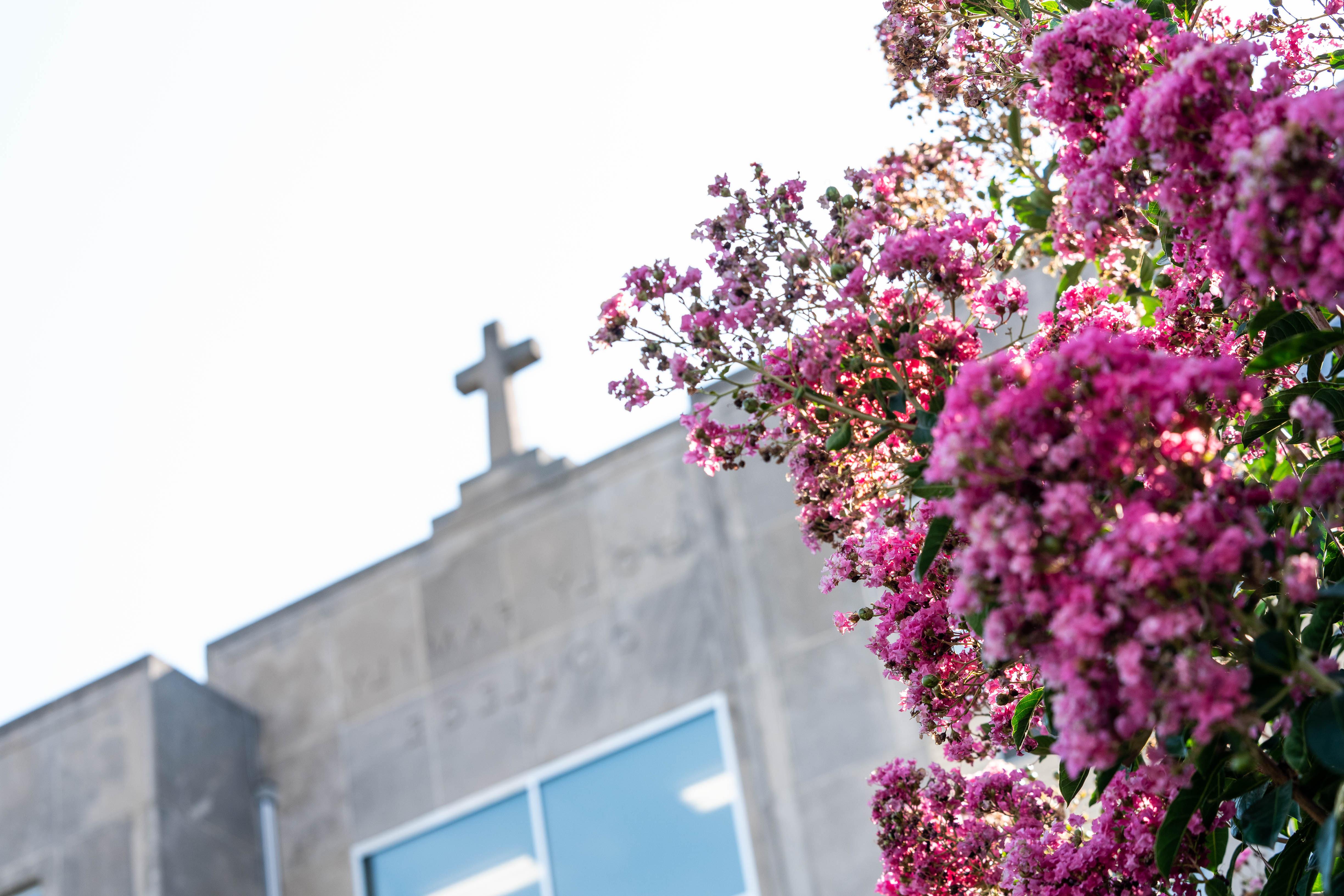 Holy Family University Hall Cross on Roof